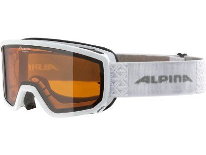 Lyžařské brýle Alpina Scarabeo S DH - white