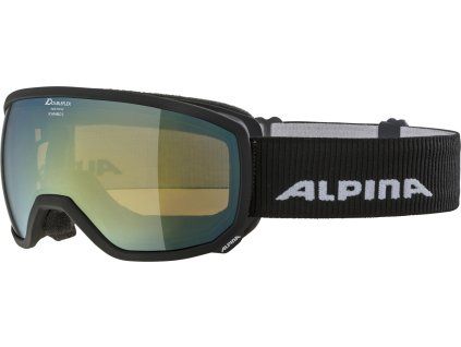 Lyžařské brýle Alpina Scarabeo S HM sph. - black matt