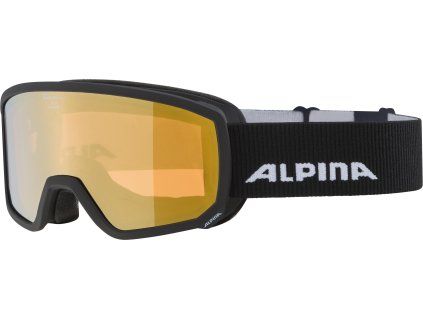 Lyžařské brýle Alpina Scarabeo S HM - black