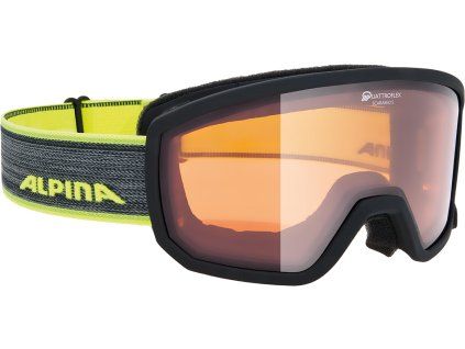 Lyžařské brýle Alpina Scarabeo S QH - black/neon
