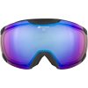 Lyžařské brýle Alpina Pheos QHM - black/grey