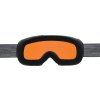 Lyžařské brýle Alpina Pheos QHM - black/grey
