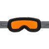 Lyžařské brýle Alpina Pheos S HM - black/grey