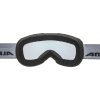 Lyžařské brýle Alpina Pheos S VM - black matt