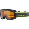 Lyžařské brýle Alpina Scarabeo S DH - black/neon
