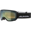 Lyžařské brýle Alpina Scarabeo S HM sph. - black matt