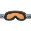 Lyžařské brýle Alpina Scarabeo S HM - black