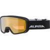 Lyžařské brýle Alpina Scarabeo S HM - black