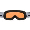 Lyžařské brýle Alpina Scarabeo S QH - black